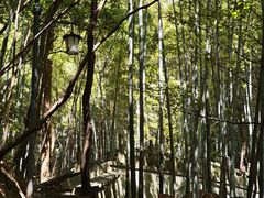 -敬亭山风景名胜区