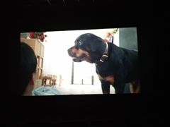 -金逸影城(明发IMAX店)