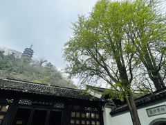 -焦山风景区