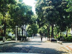 -华侨大学(厦门校区)