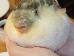 -永安鱼庄·镇江菜(丁卯店)