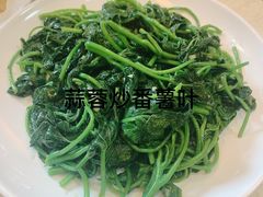 -巫记鸡饭店
