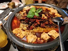 -探鱼·鲜青椒爽麻烤鱼(西南商都店)