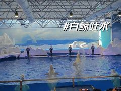 -秦皇岛乐岛海洋王国