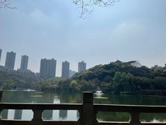 -重庆彩云湖湿地公园