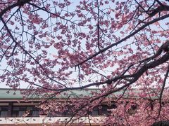 -醍醐寺