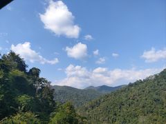 -野象谷景区