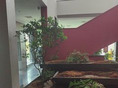 -雅苑中餐厅