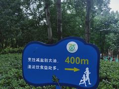 -西安市长乐公园