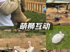 -鄂尔多斯野生动物园