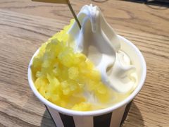 -JW德国冻酸奶Frozen Yogurt(龙湖成都滨江天街店)