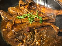 -徐家饭堂(金碧家园店)