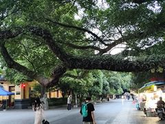 -桂林独秀峰王城景区