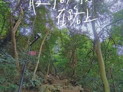 -灵隐飞来峰景区