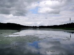 -塞罕坝国家级自然保护区