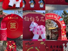 -少华山国家森林公园