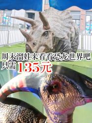 点击看大图 -恐龙探索乐园(磁器口店)