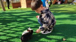 -萌宠亲子动物乐园(槐房万达店)