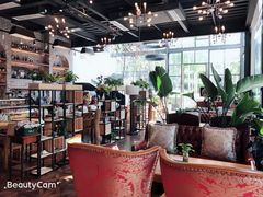 大堂-桉树林A coffee 森林餐厅(三圣乡店)