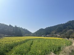 -大围山国家森林公园