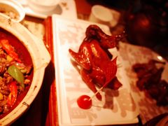 红烧乳鸽-大鸽饭(北京路店)