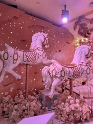 -花嫁丽舍婚礼殿堂(世博江景店)