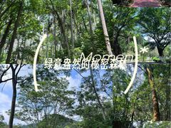 -火炉山森林公园