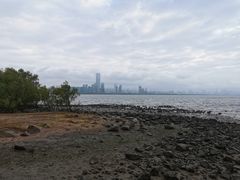 -深圳湾公园(南山区)