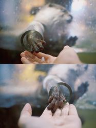 -Zoolung Zoolung动物主题公园(海信广场店)