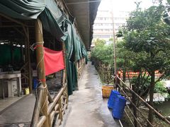 -新荷花世界