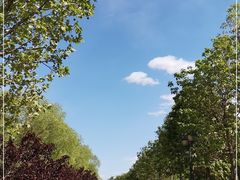 -永定河休闲森林公园