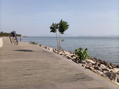 -深圳湾公园(南山区)
