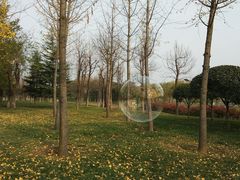 -洨河生态公园