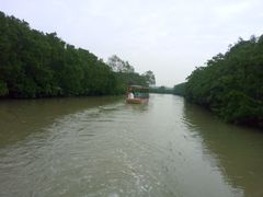 -大湾区中央湿地公园