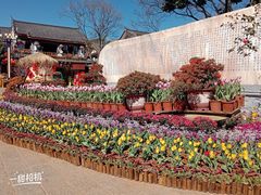 -木王宴语·野生鲜菌火锅(玉河店)