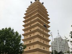 -多哥水傣味餐厅(司马巷店)