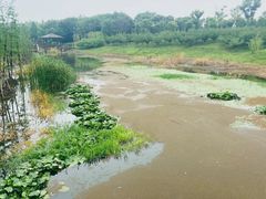 -同里国家湿地公园