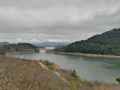 -广州市流溪河国家森林公园