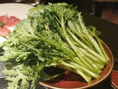 蒿菜-荣记火锅(青悦城店)