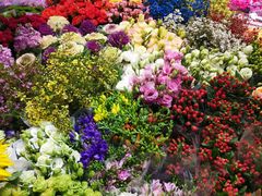 -双季花艺园艺市场(浦东店)