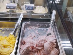 -歎雪糕低糖低脂Gelato冰淇淋
