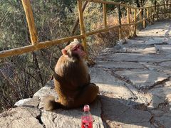 -上方山云水洞