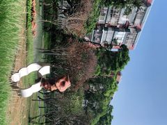 -四海公园(南山区)