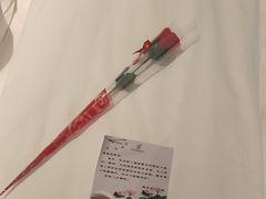 -张掖华辰国际大酒店