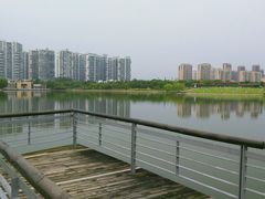 环境-白塘生态植物园