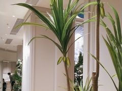-狮王府淮扬菜(万象城店)