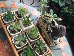 -简·无界健身工作室·运动康复·体态(石厦店)