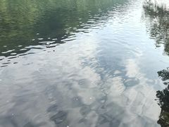-新安江山水画廊风景区