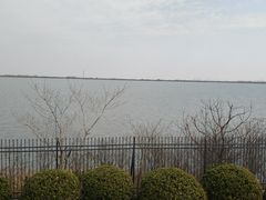 -江滩湿地公园