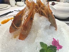 -南麓·浙里(外滩店)
